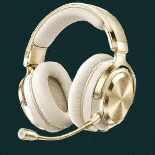 Gaming headset — Rich Prize